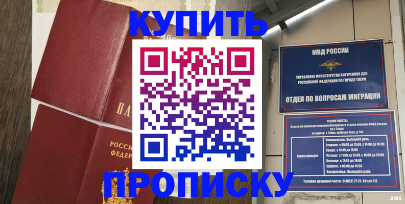 прописка 2025 в Димитровграде
